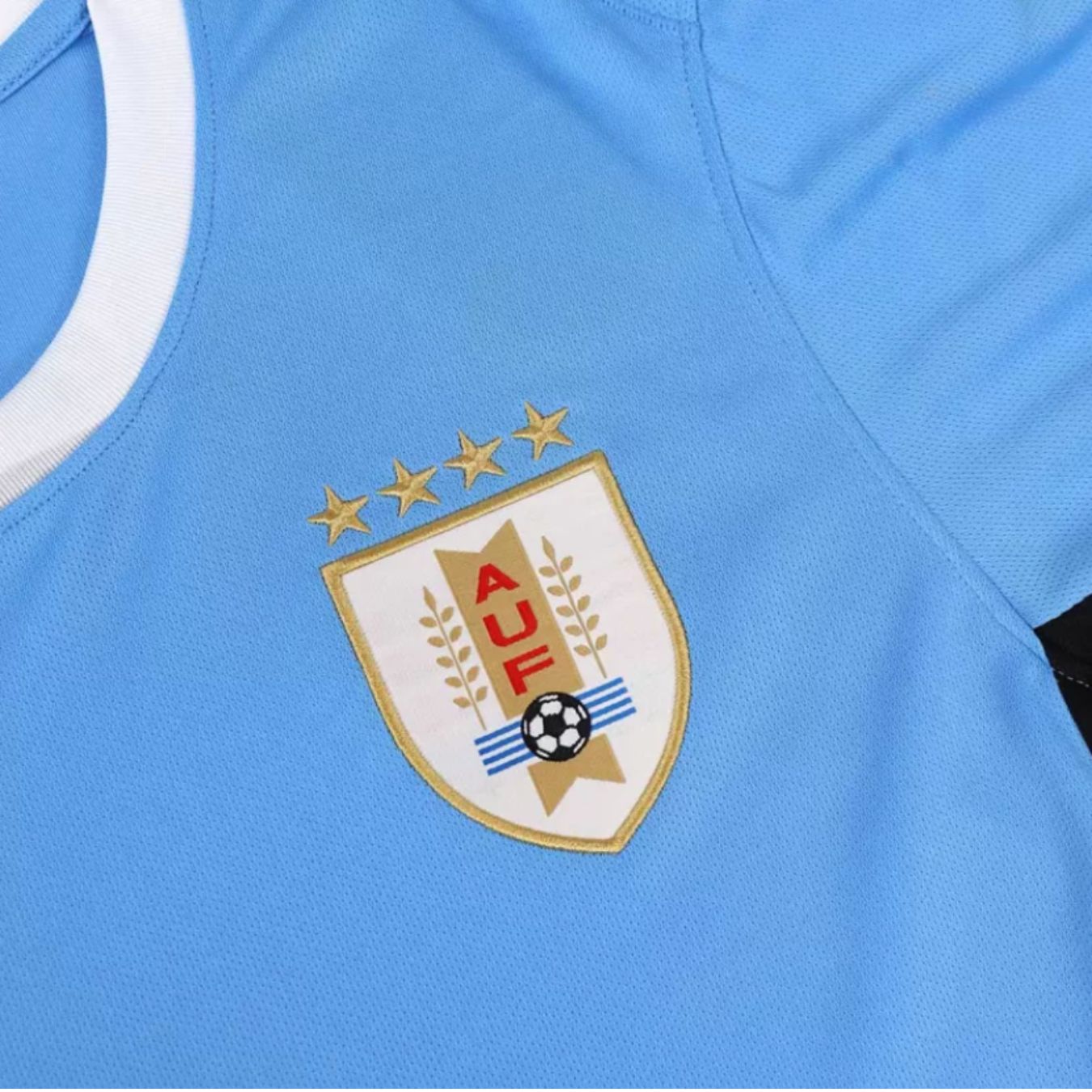 Uruguay 2024 Home Kit